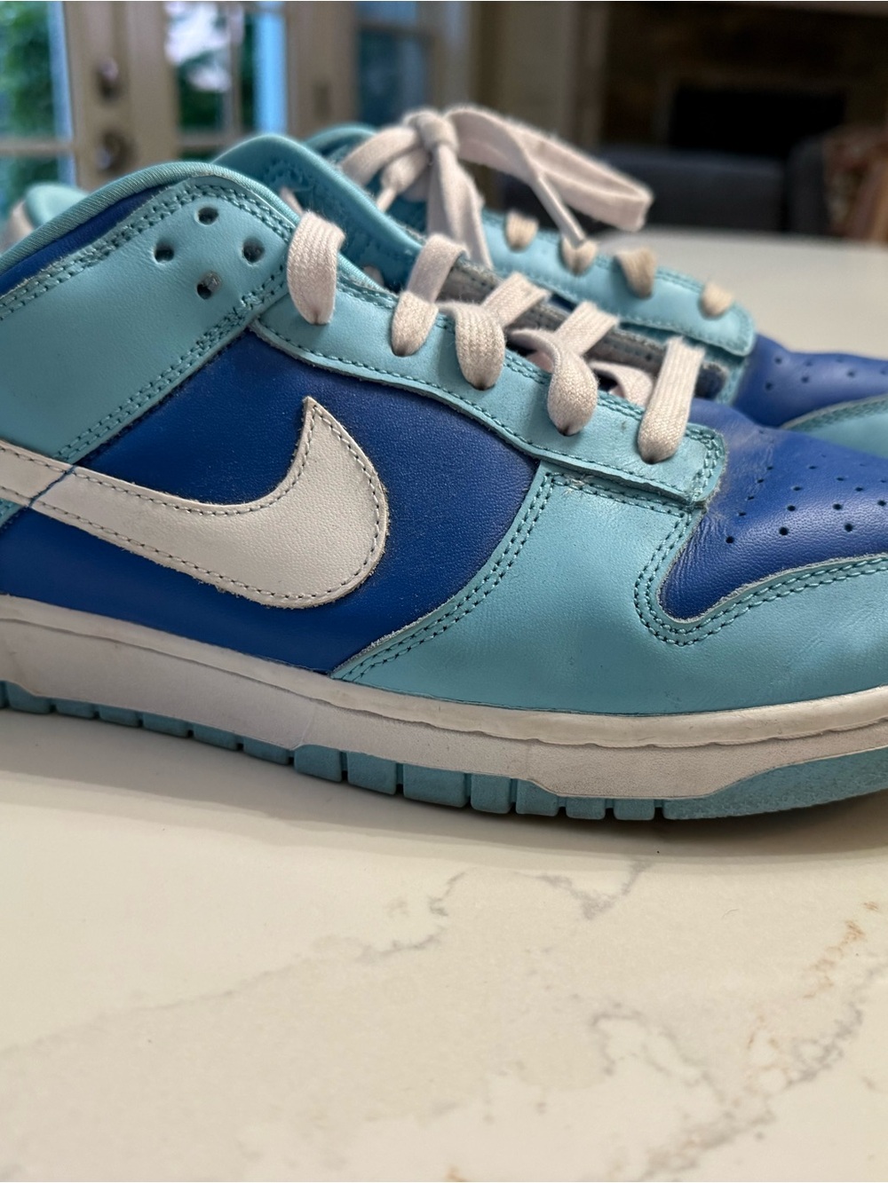 Nike Dunks - MENS size 10